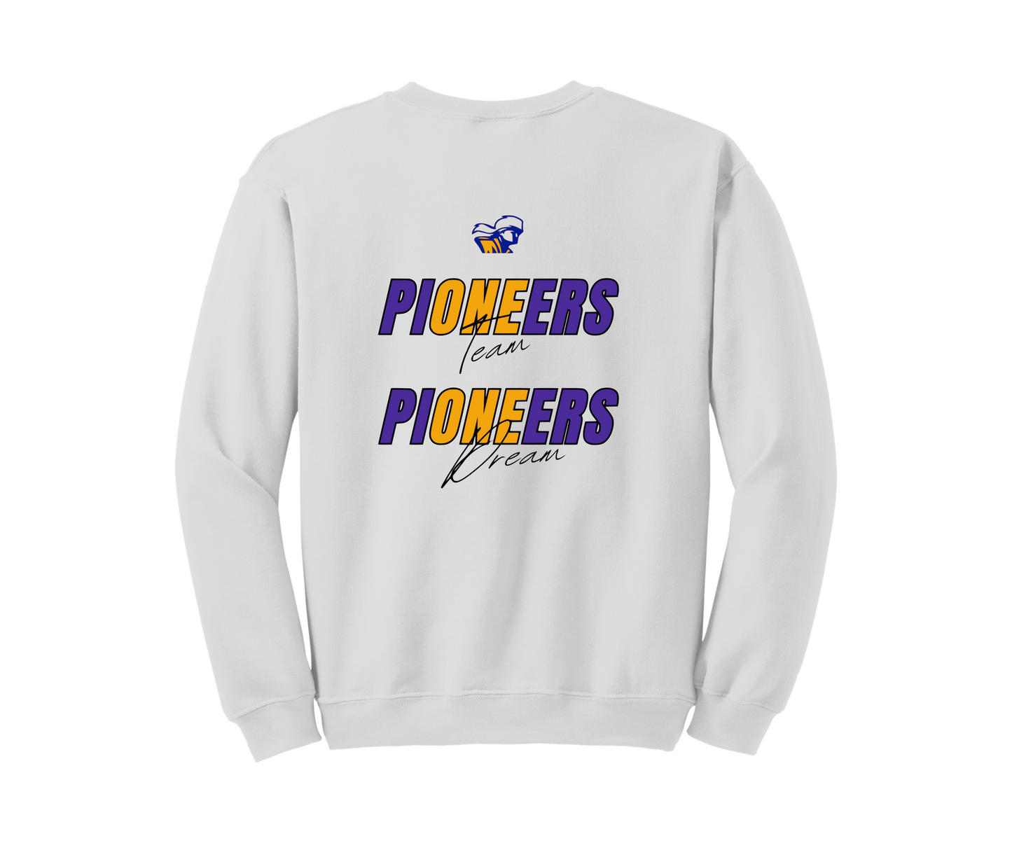 Bigger Than Basketball Pioneers