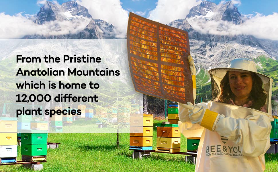 Bee & You Propolis + Vit D3 + Vit C + Zinc Shot