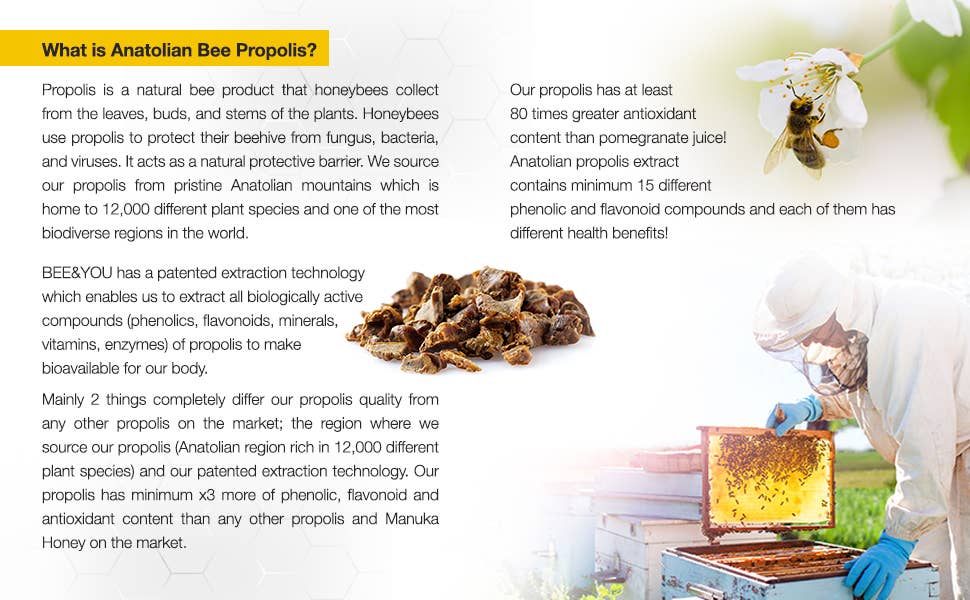 Bee & You Propolis + Vit D3 + Vit C + Zinc Shot