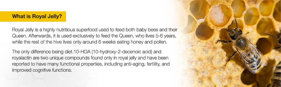 Bee & You Propolis + Vit D3 + Vit C + Zinc Shot