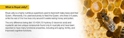 Bee & You Propolis + Vit D3 + Vit C + Zinc Shot