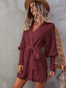 Cranberry Dreams Belted Sweater Dress