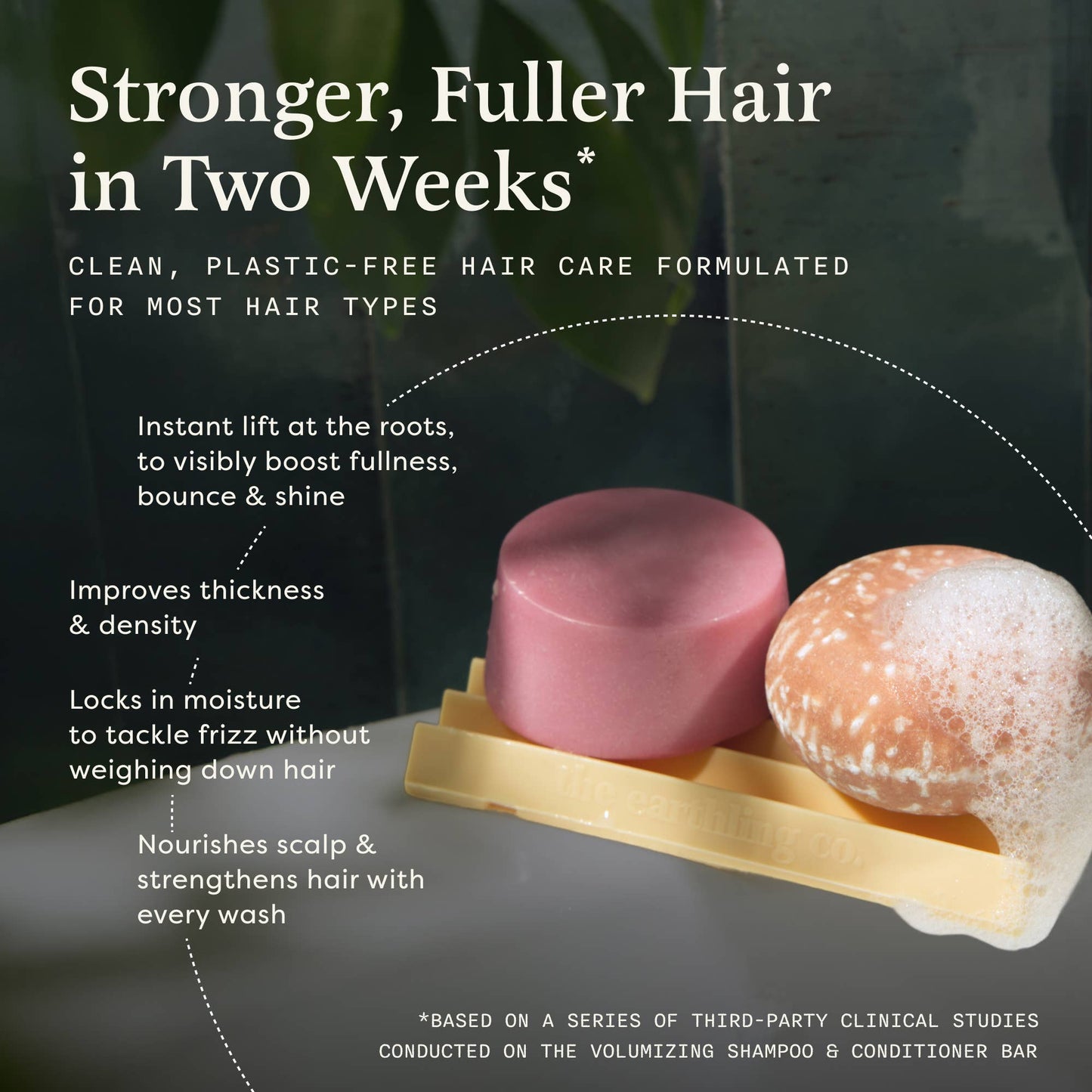 Shampoo & Conditioner Set | Volumizing | Vanilla Coconut