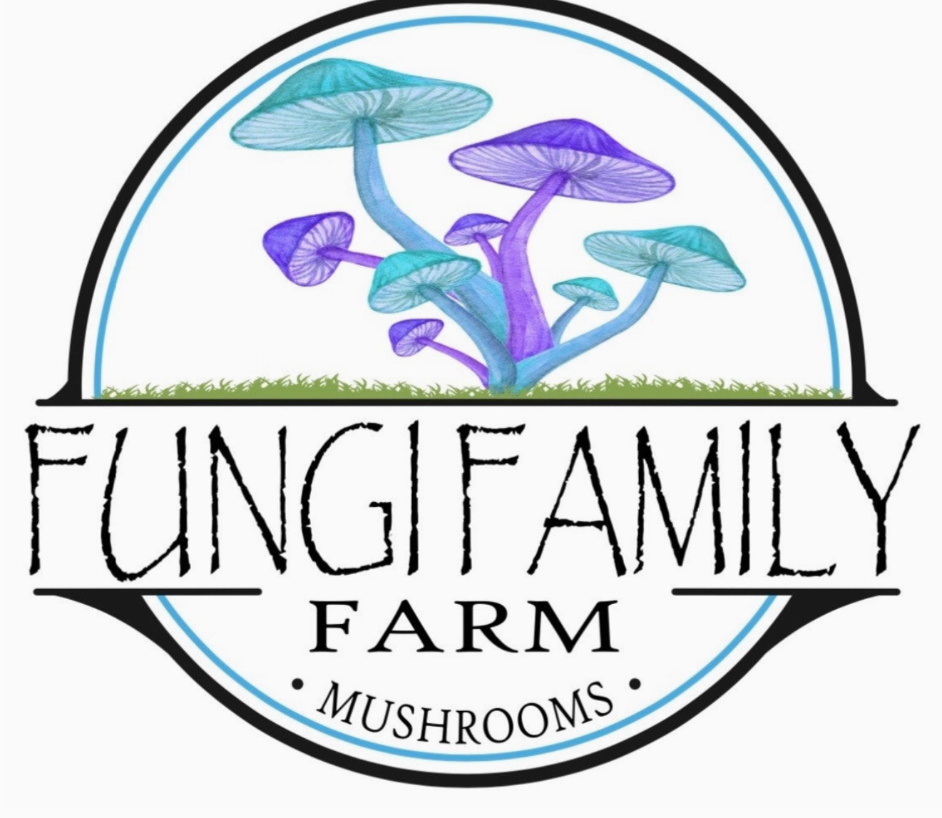 Agaricus Blazei 30ml Tincture