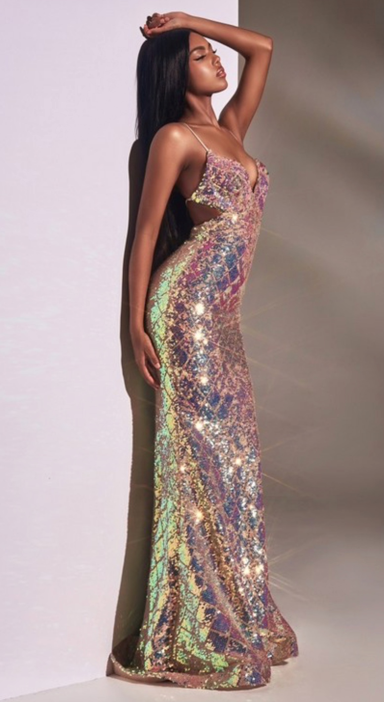 Ariella Sequin Gown