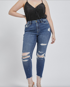 Mica Denim Plus High Rise Ankle Skinny